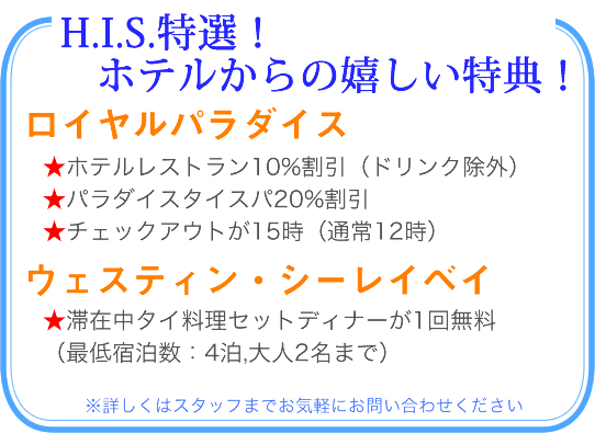 おすすめ！オプショナルツアー